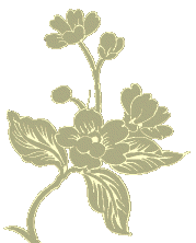 Acquitaine flower detail